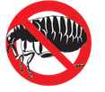 Home Pest Control Forest Of Dean Forest Of Dean Pest Controltwitterfacebookprintpinterestgmailgoogle Linkedinaddthis