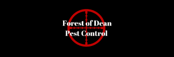 Forest Of Dean Pest Control Logo